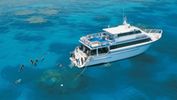 Scuba Diving At The Outer Barrier Reef