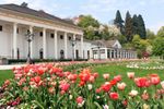 Full Day Excursion To Baden-baden And Black Forest