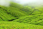 Coonoor, India