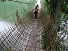 Bamboo Bridge Adventure Activities