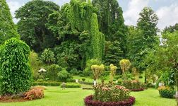 Scenic Sri Lanka - 5 Cities - Premium