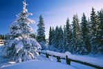 Manali, India