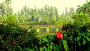 Island Garden Dadra Park