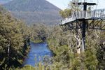 Huon Valley And Tahune Forest Air Walk