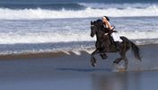 The Umalas Equestrian Resort