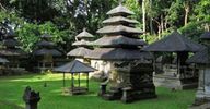 Alas Kedaton (monkey Forest)