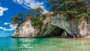 Coromandel - Full Day Tour With Lunch
