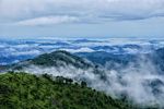 Wayanad, India
