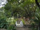 Kalpataru Botanical Gardens