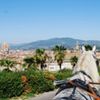 Horse And Carriage-boboli Garden And Panoramic