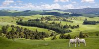 Waikato District, New Zealand