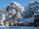 Shimla, India