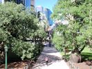 Brisbane City Walking Tours