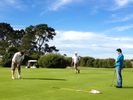 Whakatane Golf Course