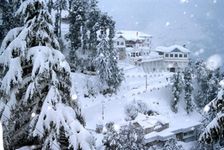 Blissful Shimla - Budget
