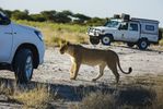 Nxai Pan National Park, Botswana