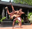 Isma - The Indian School Of Martial Arts