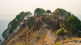 Kausauli Tour Package - Budget