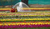 Half Day Sightseeing Tour With Mughal Gardens