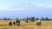 Mount Kilimanjaro National Park