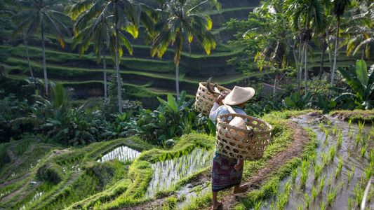 bali tour packages from trivandrum