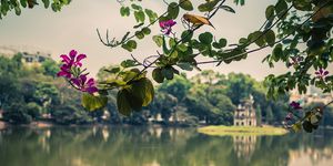Best of Vietnam and Cambodia - Premium
