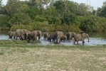 Selous Bush Walking