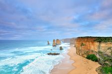 Australian Delight - Standard