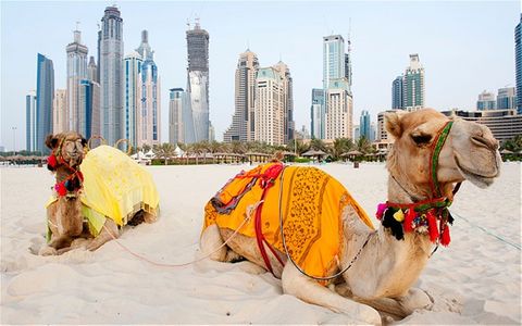 dubai tour package for 4 persons