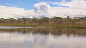 Lake Ndutu