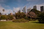 Spend A Day At The Royal Botanic Gardens