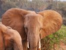 Samburu, Kenya