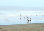 Tithal Beach
