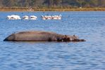 Lake Naivasha - Great Rift Valley