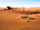 Namib-naukluft National Park