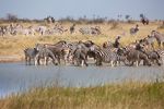 Makgadikgadi Pans National Park, Botswana