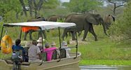 Boat Trips In The Selous Game Reserve