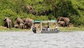 Boat Cruise On Kazinga Channel