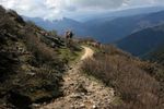 Trekking Into West Sikkim (darap To Dzongri And The Goecha La)