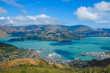 Southern Splendour - Premium