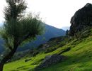 Aru Valley