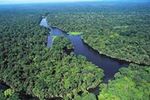 Tortuguero National Park, Cuba