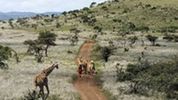 Laikipia, Kenya