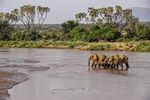 Shaba National Reserve, Kenya