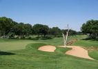 Oak Tree National Golf Club