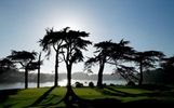 Harding Park Golf Course, San Francisco