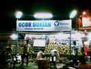 Durian Ucok