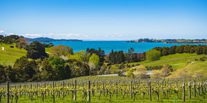 Best of New Zealand - Premium