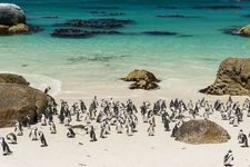 Best of South Africa - Standard