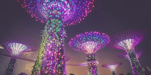 Magical Singapore Tour Package